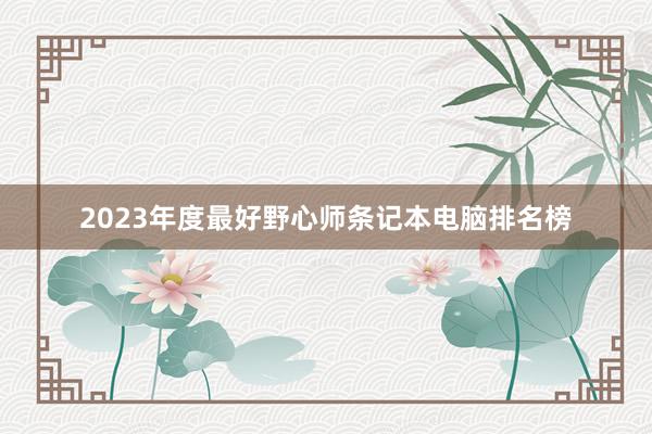 2023年度最好野心师条记本电脑排名榜